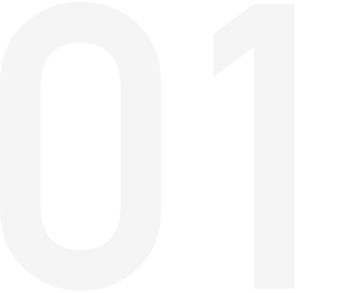 系统专业化服务内容